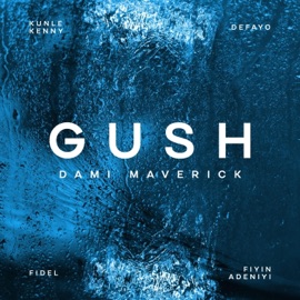 Gush (feat. Kunle Kenny, Fiyin Adeniyi, Defayo & Fidel) Dami Maverick
