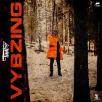 Vybzing - Single - Timbo STP
