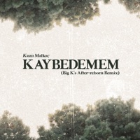 Kaybedemem (Big K's After-reborn Remix) - Single - Kaan Malkoç