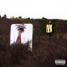 Nodig (feat. Maximilli) Viccens & Tobi Black