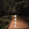 善微月 - 你在想什么