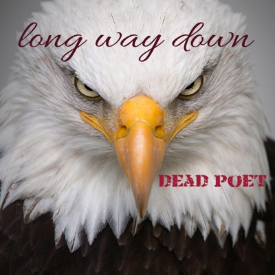 Long Way Down - Single