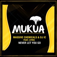 Never Let You Go (feat. Lyric ) - Single - Massive Chemicals & DJ IC