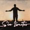 Veo Veo (feat. Impulse el Intelectual) - George Mayer lyrics