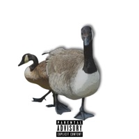 Canadian Goose (feat. BigTrap Taxfree) - Single - Bigboss Kane