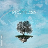 Promesas (feat.Indiomar) artwork