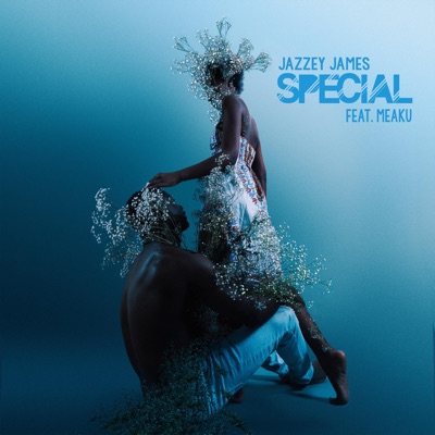 Special (feat. Meaku) - Single