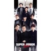 SUPER JUNIOR