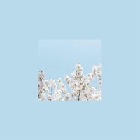 Within - Single - Kavv & Dontcry