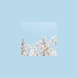 Within Kavv & Dontcry