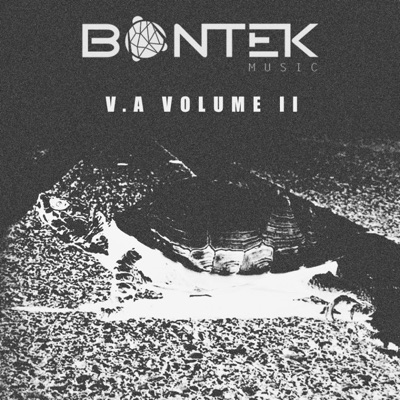 Bontek V. A II