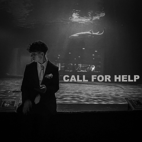 Call For Help artwork