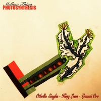 Photosynthesis (feat. Othello Singhs, Leamsi Ore & King Leon) - Single - Mellow Thing