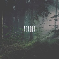 Acacia - Single - Zaini