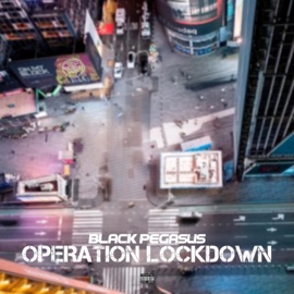 Operation Lockdown Black Pegasus