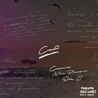 Cali (feat. Saint Rosse & Nico Pinaque) - Single