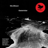 Nils Økland - Blankt vatn