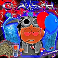 C.A.S.H. - Single - Wintercastle
