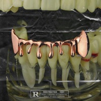 Drooly - Single - Saliva Grey, Ak3k & Netuh