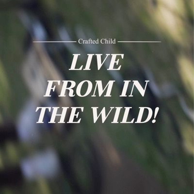 Live From In the Wild!
