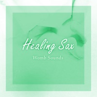 Womb Sounds and Healing Sax Sleeping Baby vol.5, Disney Music
