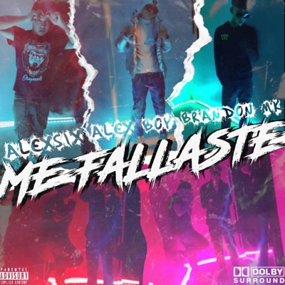 Me Fallaste - Single