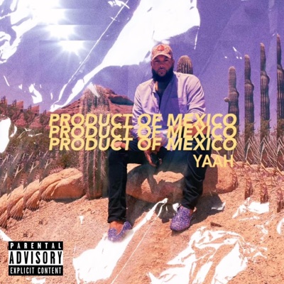 Product of Mexico - Single