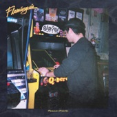 Flamingosis - Football Head