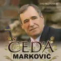 Zena od celika