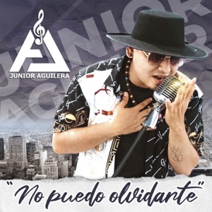 No Puedo Olvidarte
