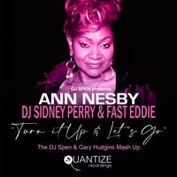 Turn It Up - Single - Ann Nesby, DJ Sidney Perry & Fast Eddie