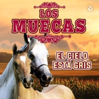 El Cielo esta Gris
