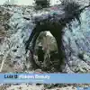 Luiz B - Hidden Beauty (Not Okay Remix)