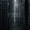 Frel - DARKST lyrics