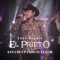 Está Ocupando Tu Lugar - Single - Lupe Angulo El Prieto
