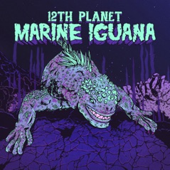 Marine Iguana - Single