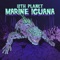 Marine Iguana artwork