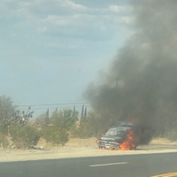 Cadence - Single - Xander Wavy