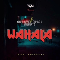Wahala (feat. 9kings & Emizbeatz) - Single - Young game