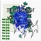 Crossroads (feat. F0bg0d) - High Sunn lyrics