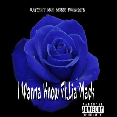 LouieToon I Wanna Know (feat. Lia Mack) - Single