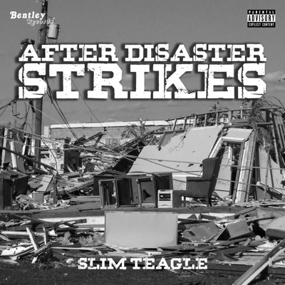 After Disaster Strikes