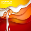 I Love You Baby (House Edit) - Josh Nor