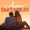 Juramento do Dedinho by Mano Walter iTunes Track 4