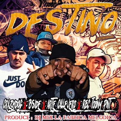 Destino (feat. Bside) - Single