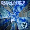 Can't Look Down - Single