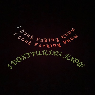 I Dont Fucking Know (feat. Castor polex) - Single