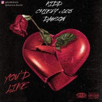 You'd Like (feat. 608 Dawson) - Single - Kidd Chiefy