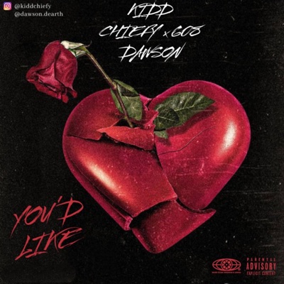 You'd Like (feat. 608 Dawson) - Single