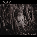 Vas - In the Garden of Souls